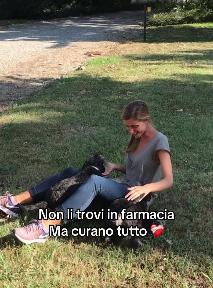 @didi_biagio