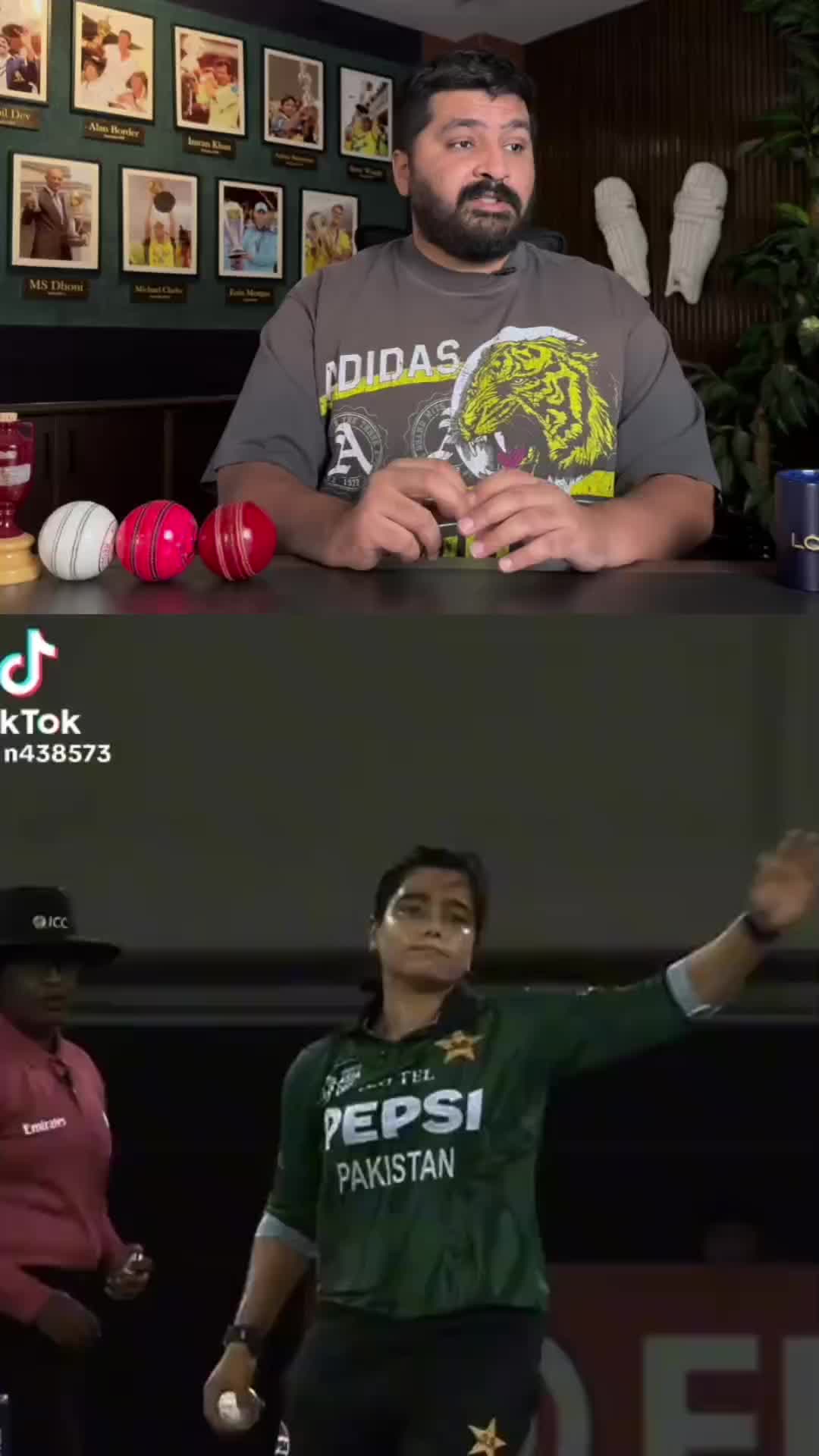 @Cricket Chat GPT