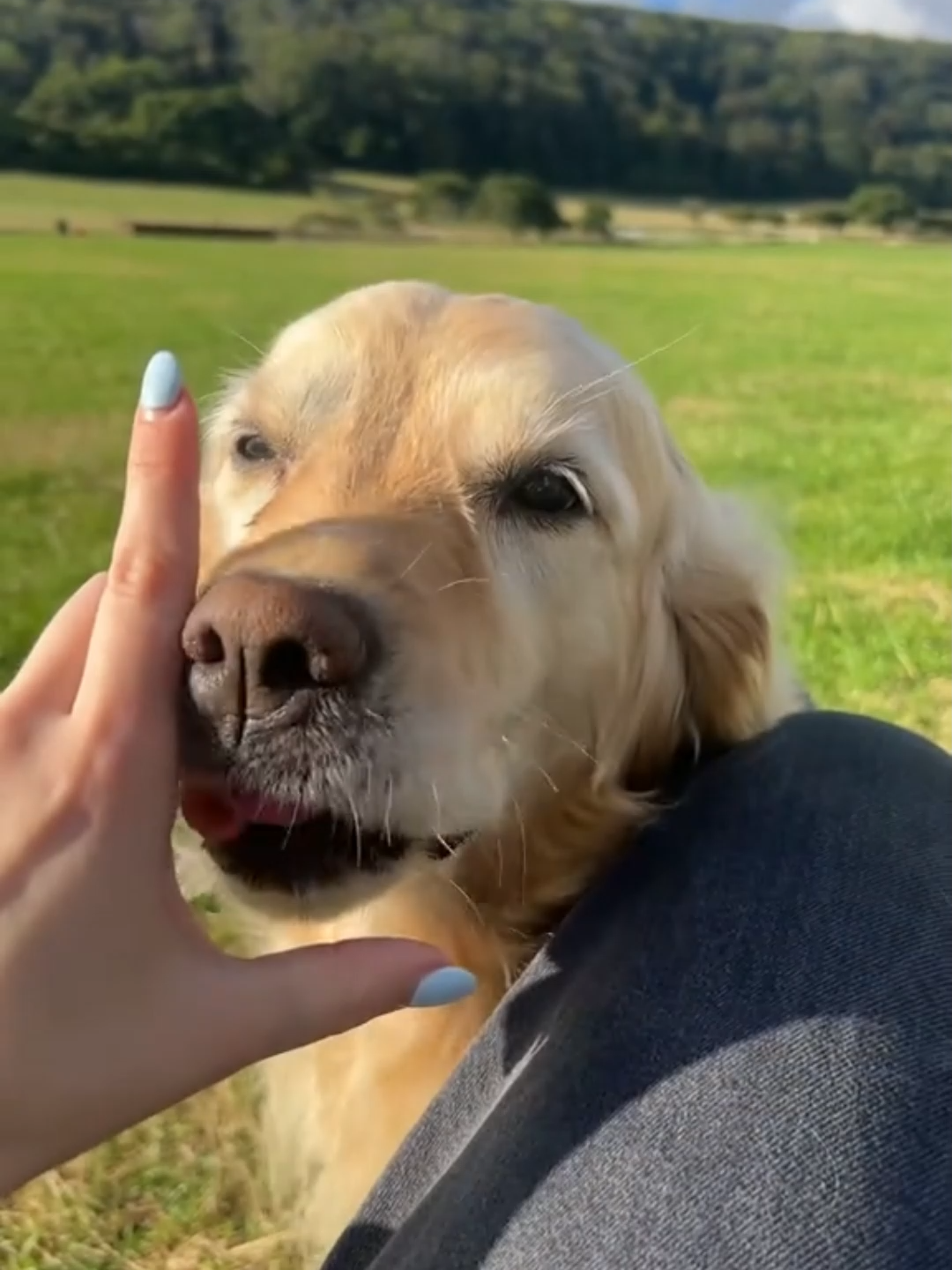 @WoofWoofTV