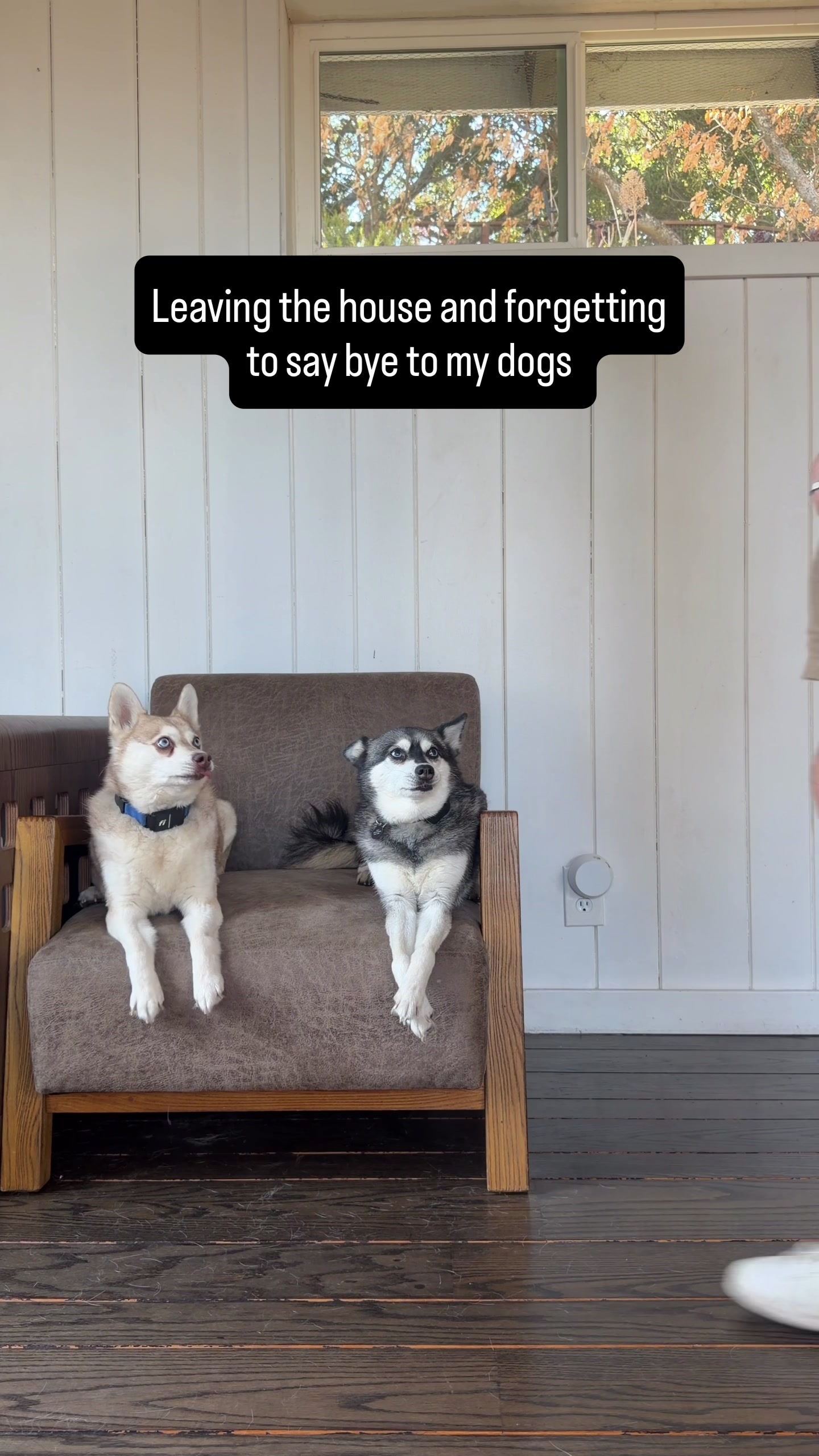 @lifewithkleekai