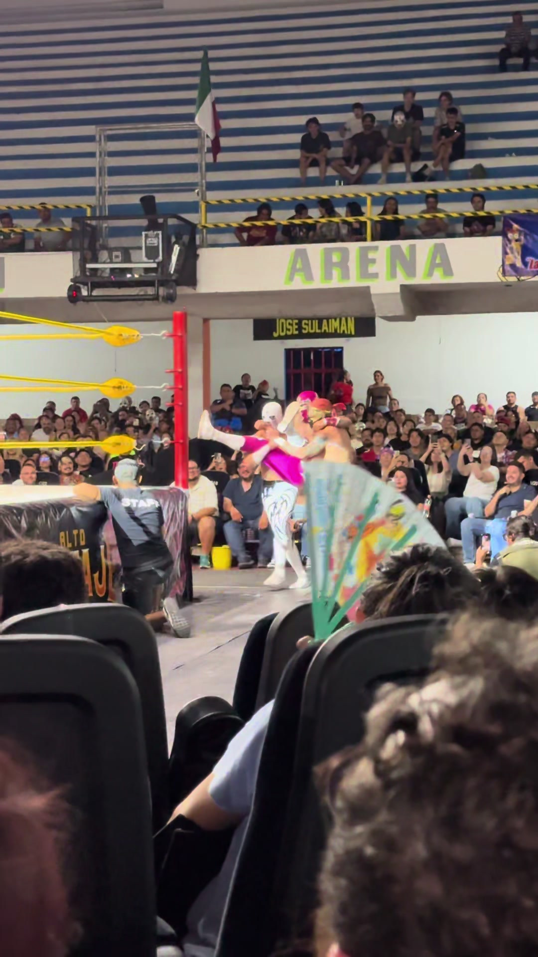 @VIDEO FACE WRESTLING