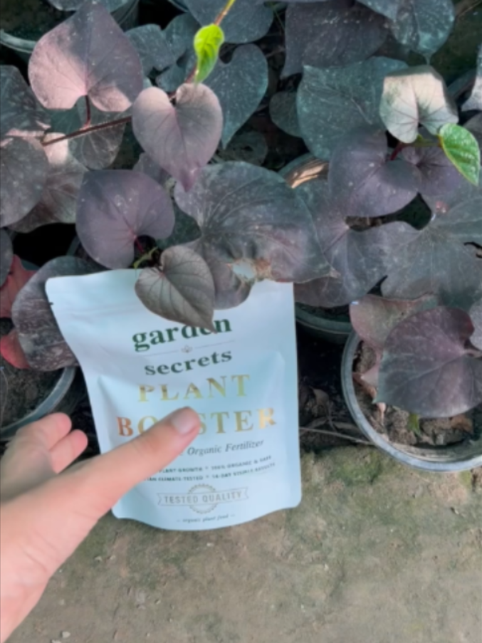 @Garden Secrets