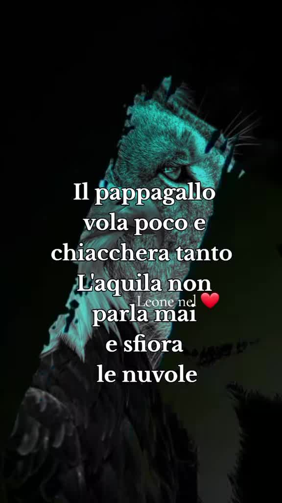 @leone nel ❤