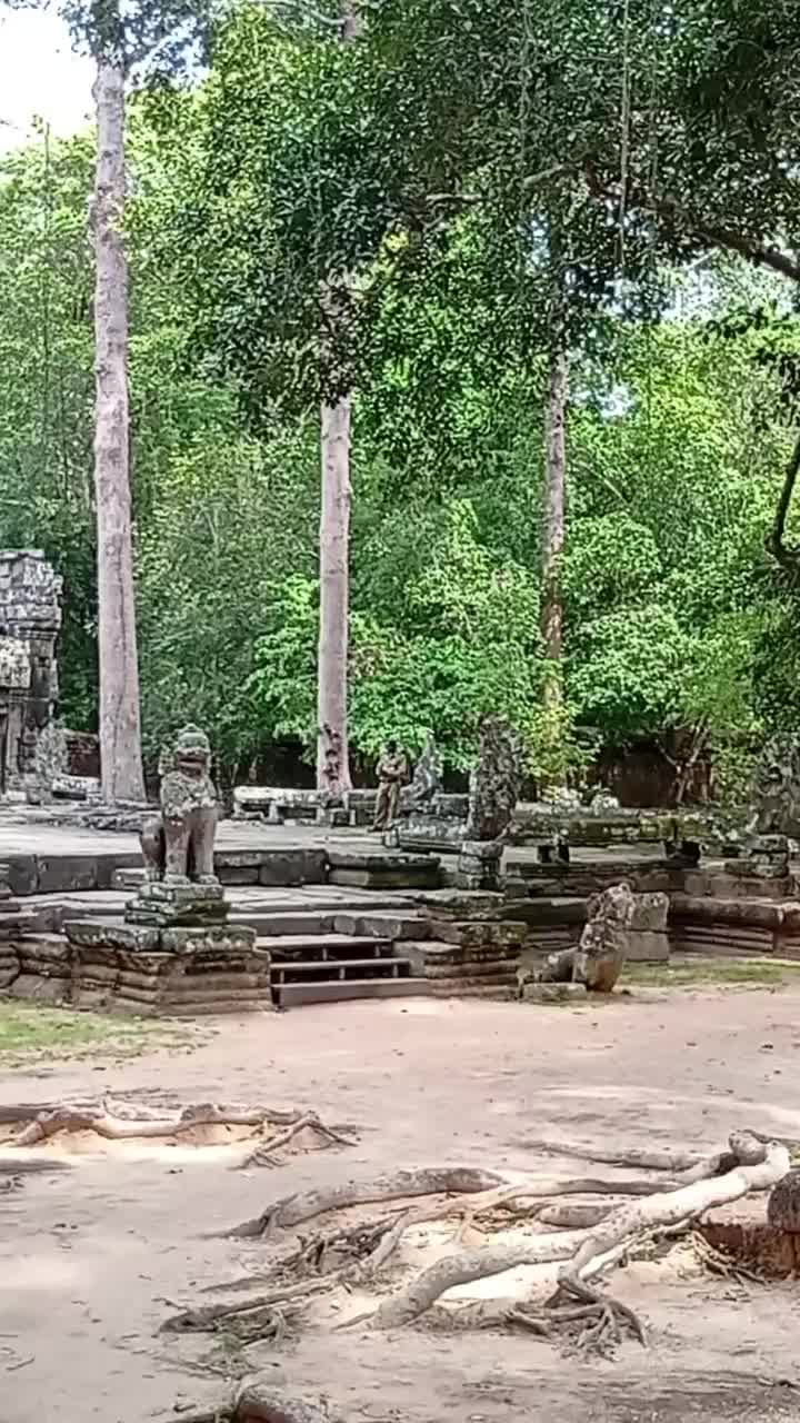 @wanderingheartsasia