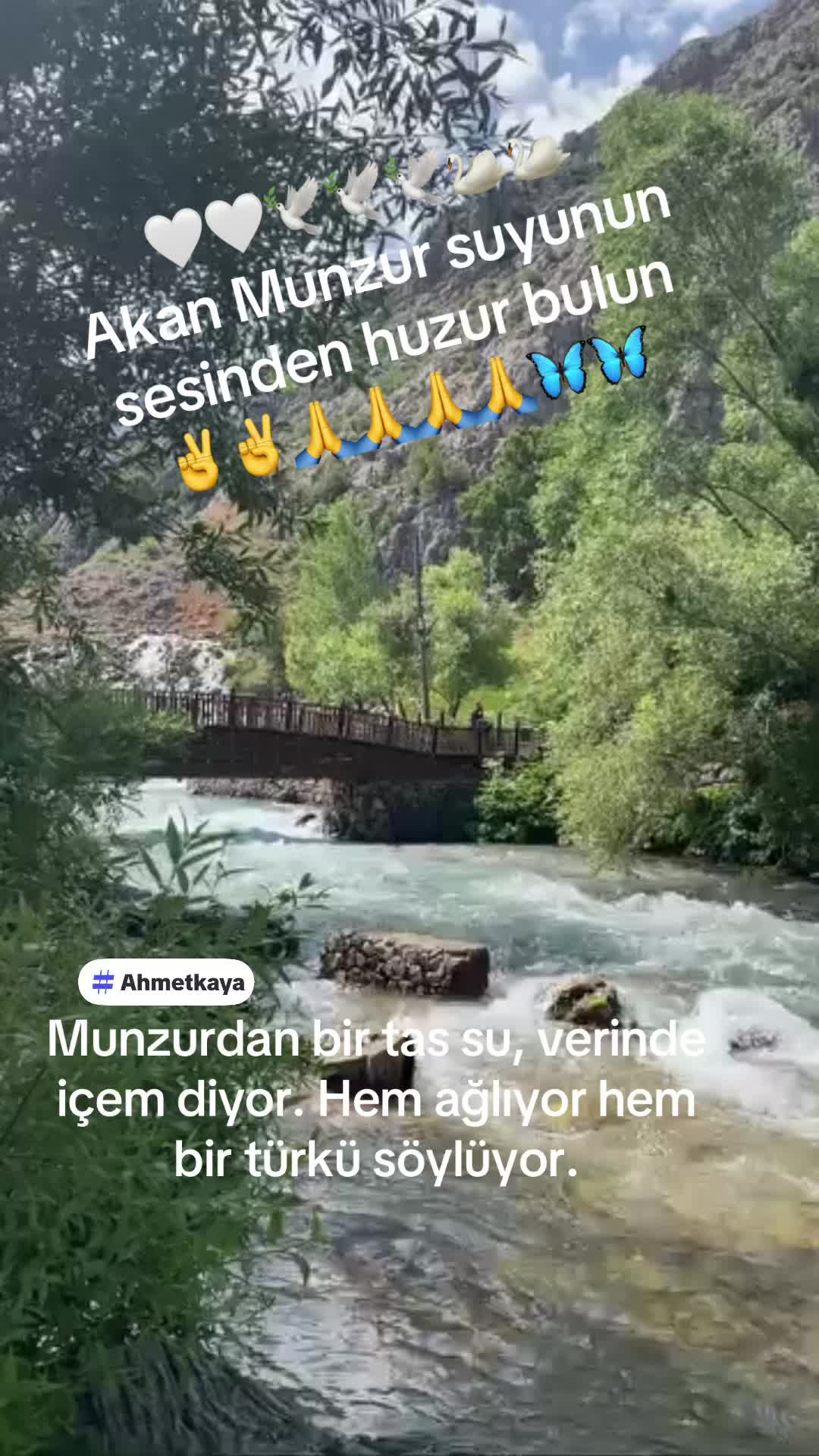 @Birsel mircikmameki62