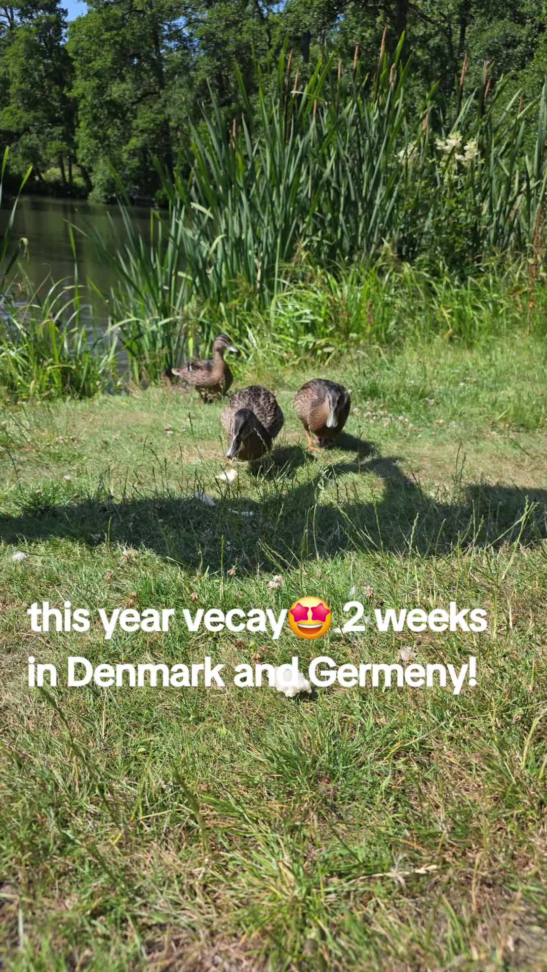 @Marianne  Nielsen