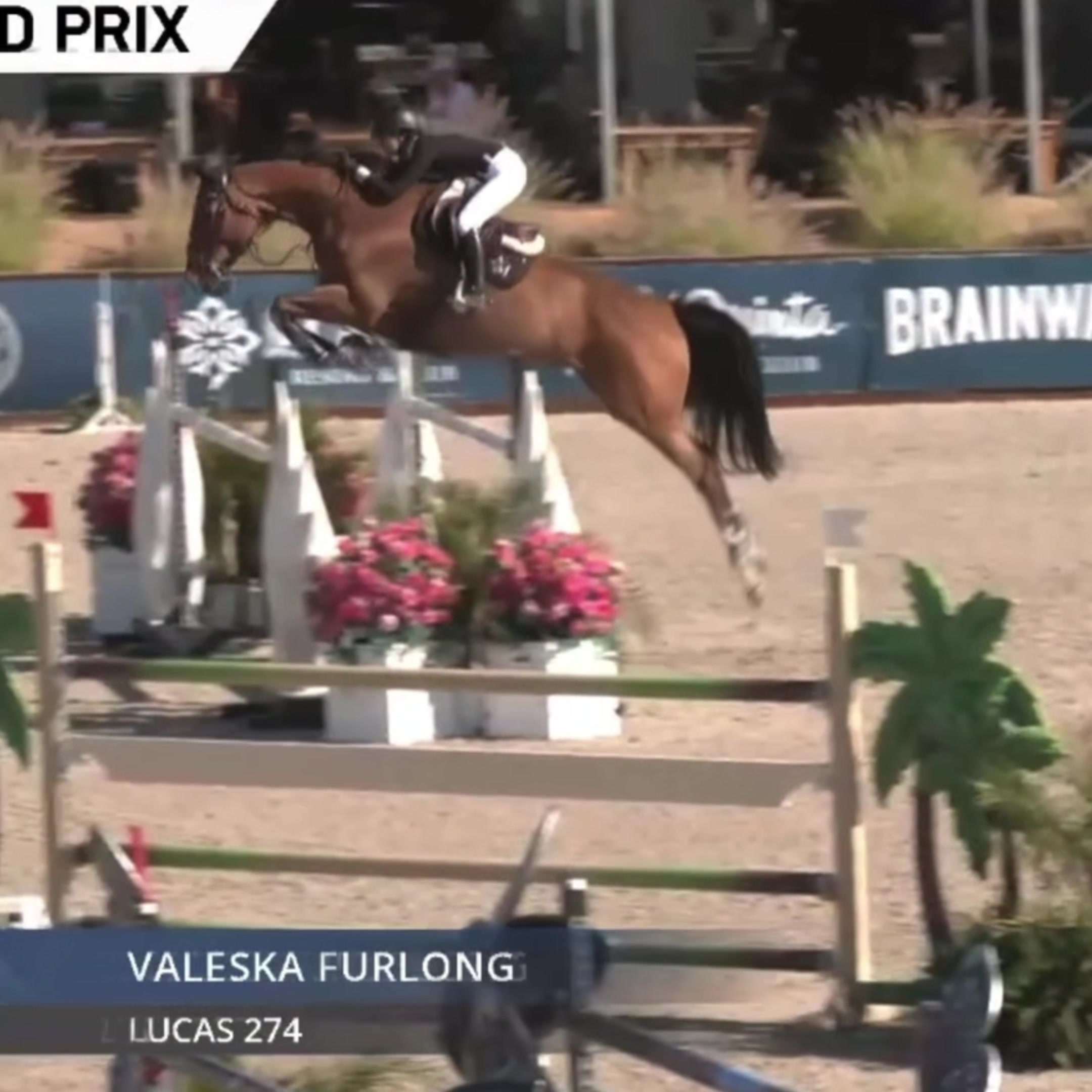 @valeska furlong