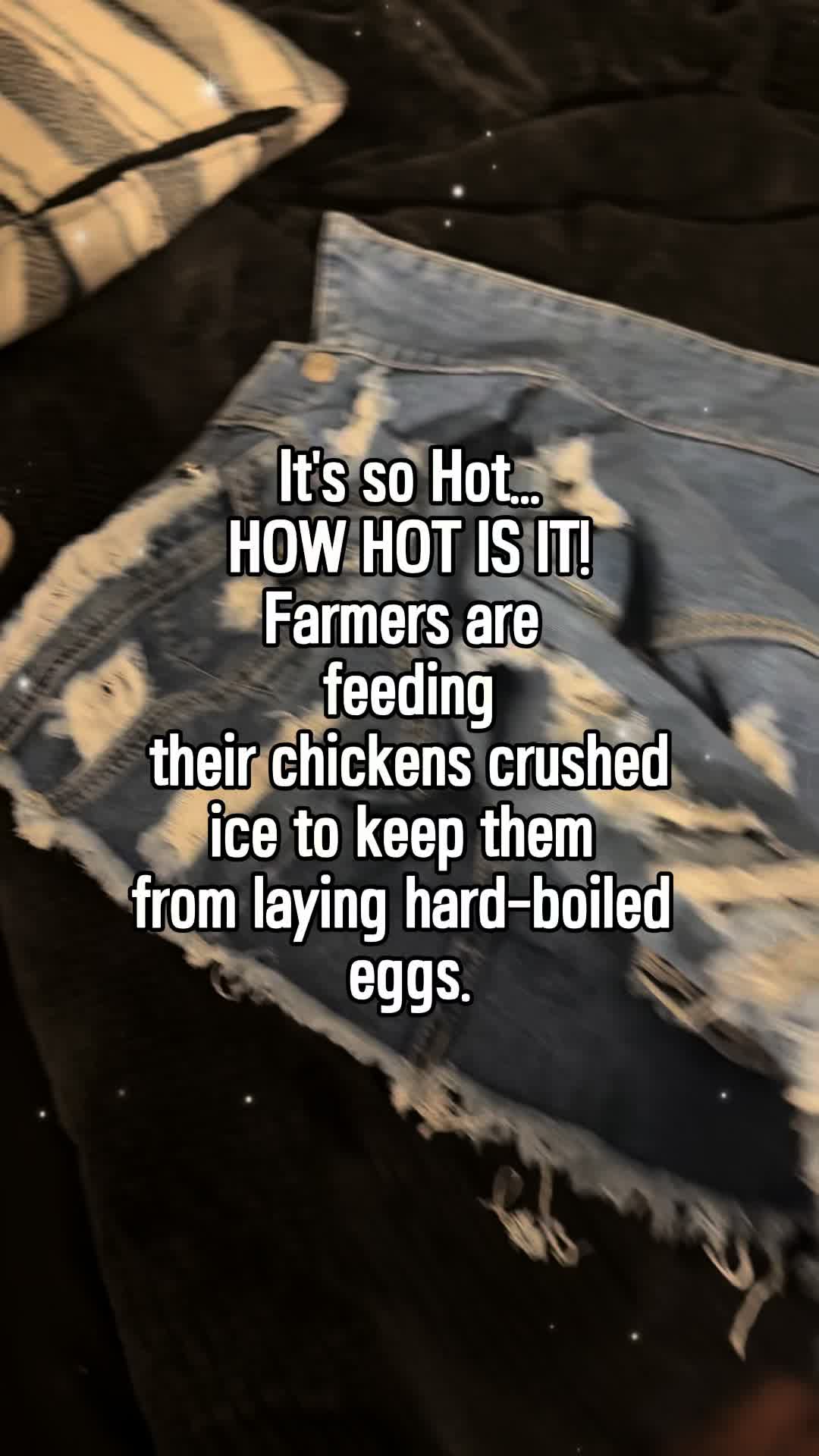 @lifeofdeliciamomedition