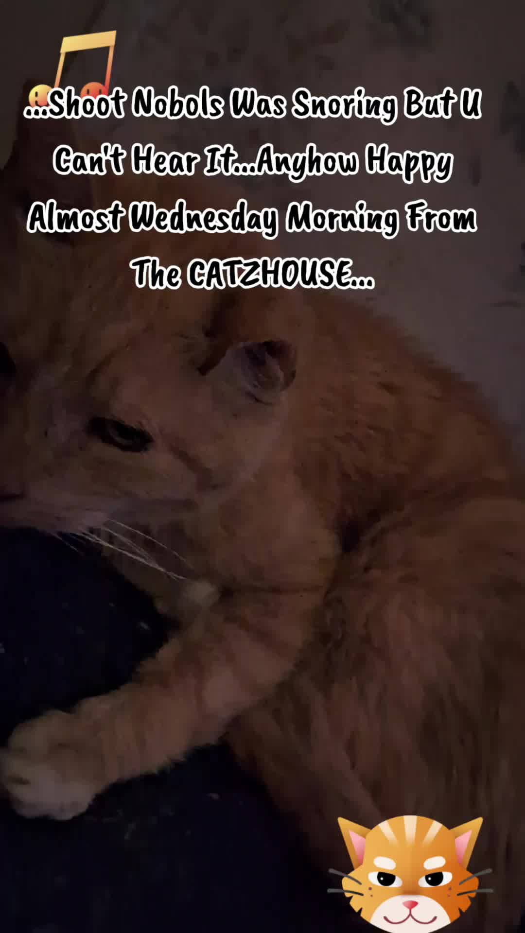 @Booh Hovey crazycatlady3