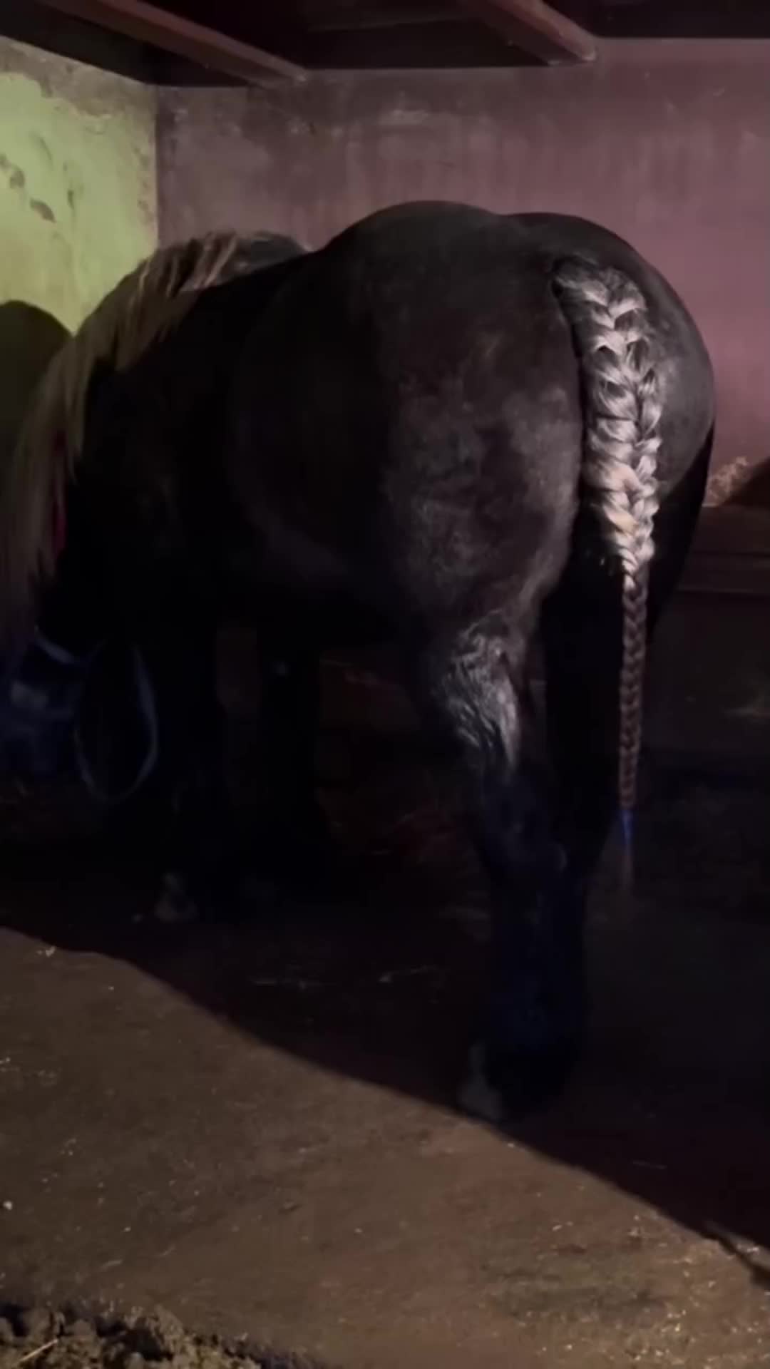 @🐴spartanu80🐴