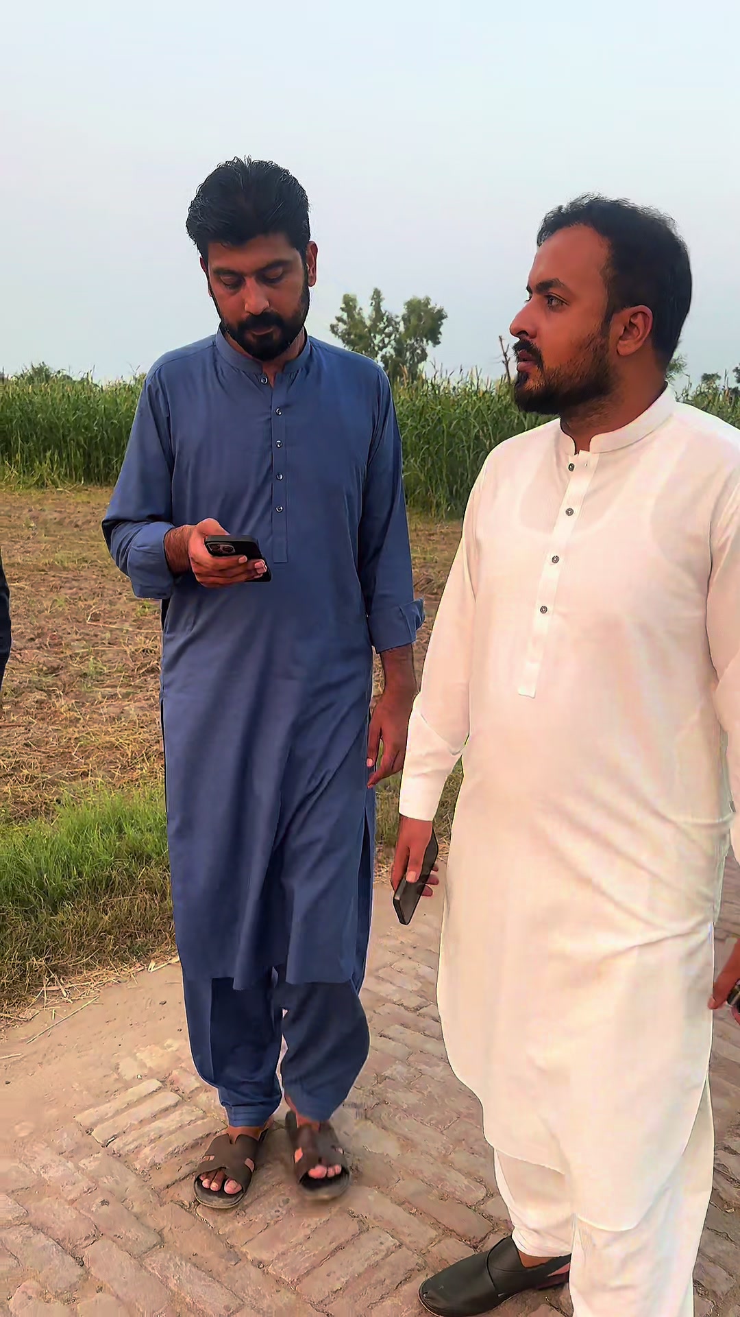 @Ammar Tariq Guliana