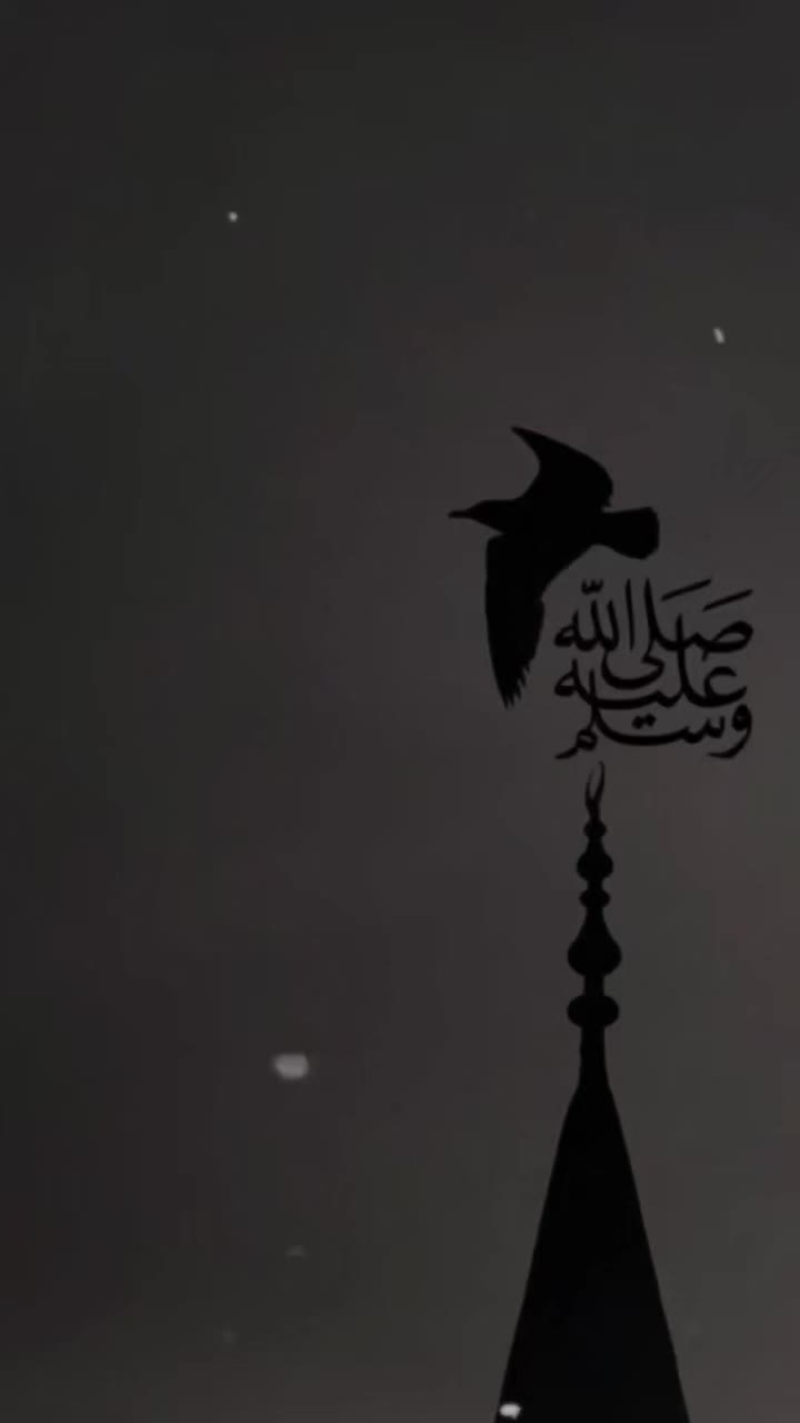 @DrMujahidDHQNNS