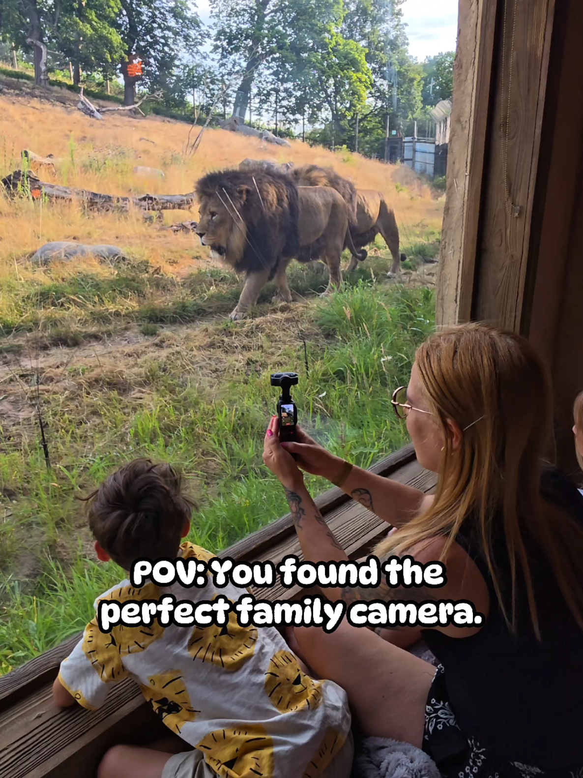 @Exploring with the kids