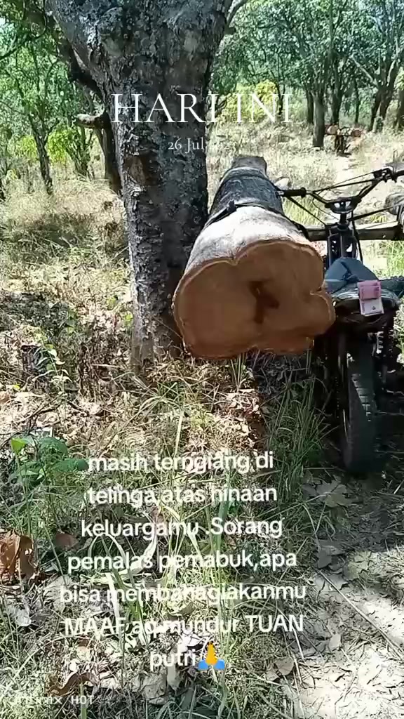 @plat AG Poh suul