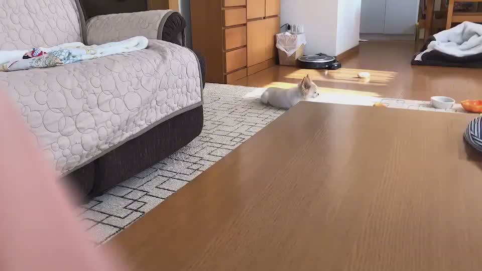 @ヌードく