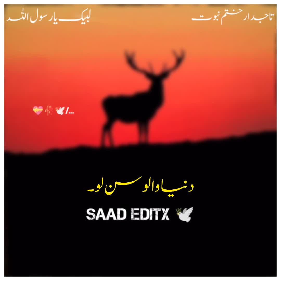 @𝗦𝗮𝗮𝗱 𝗘𝗱𝗶𝘁𝘅 🕊️