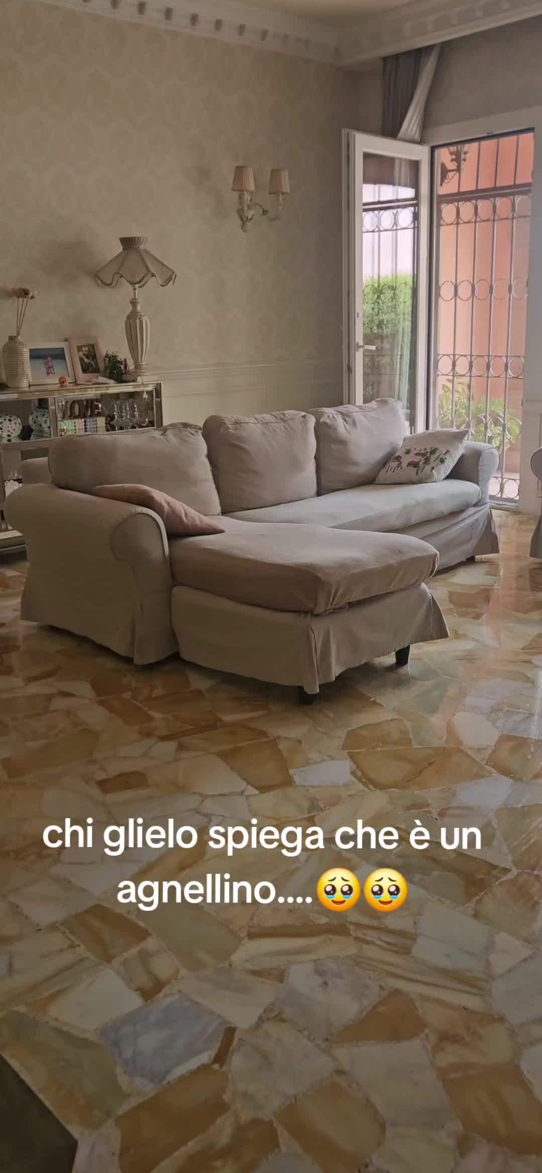 @❤chicca.260❤
