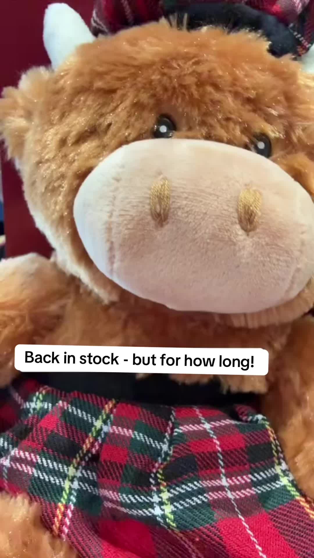@Ainsley🫶🏻