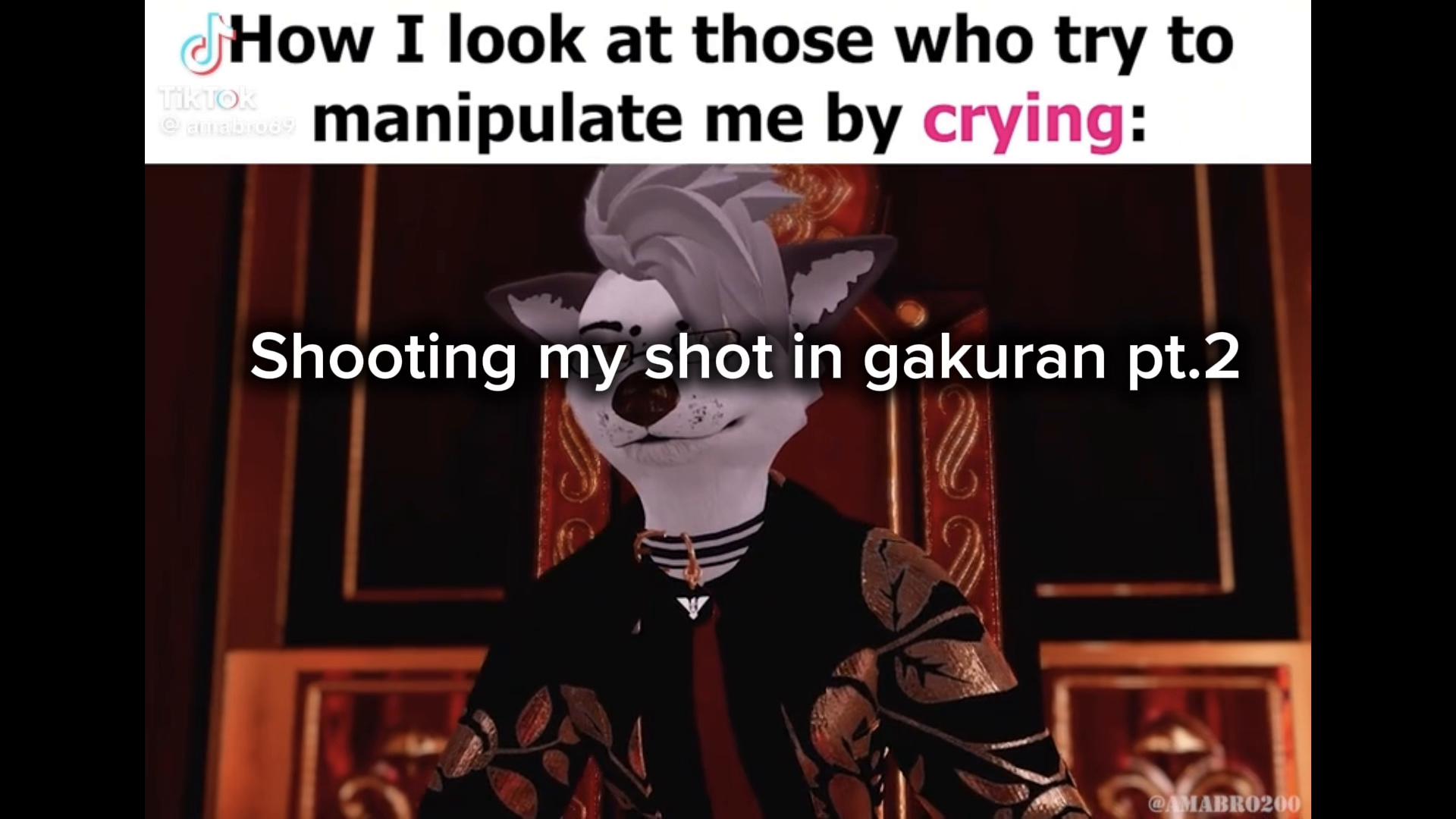 @snoblade