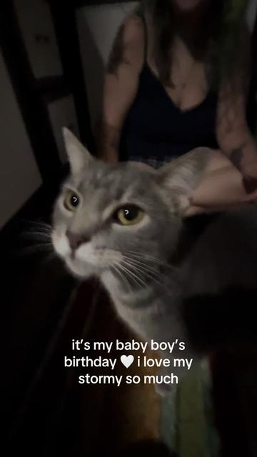 @kailee