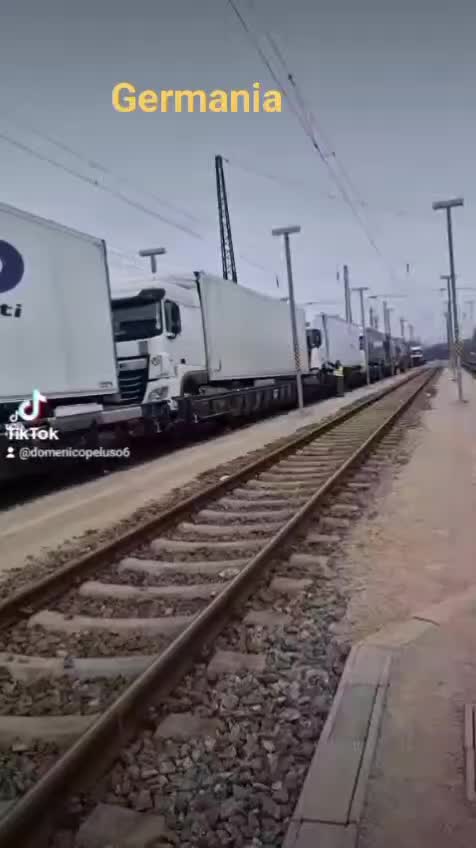 @domenicopeluso6
