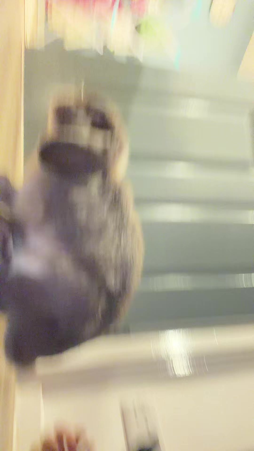 @pussluverjc