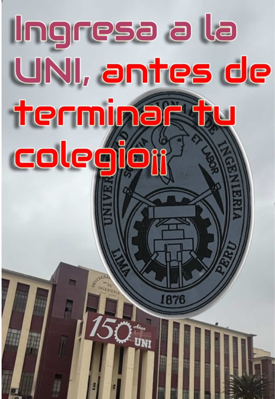 @Robin Amado