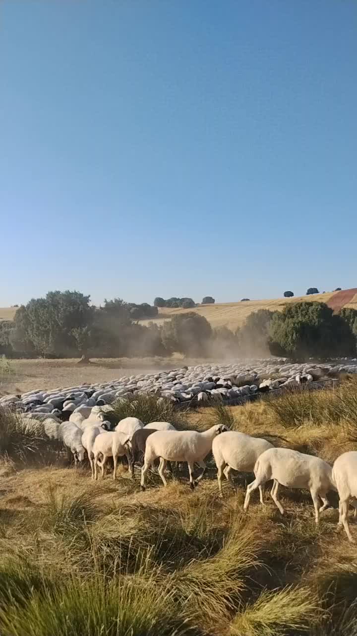 @Iv&aacute;n.