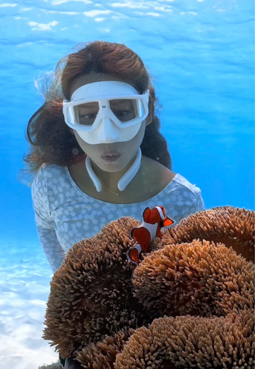 @素潜り女🧜🏽&zwj;♀️🫧🪸