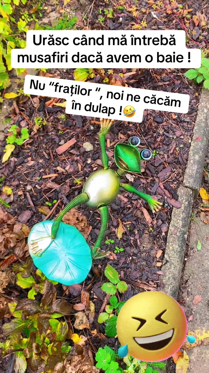 @Onoriu-Jr