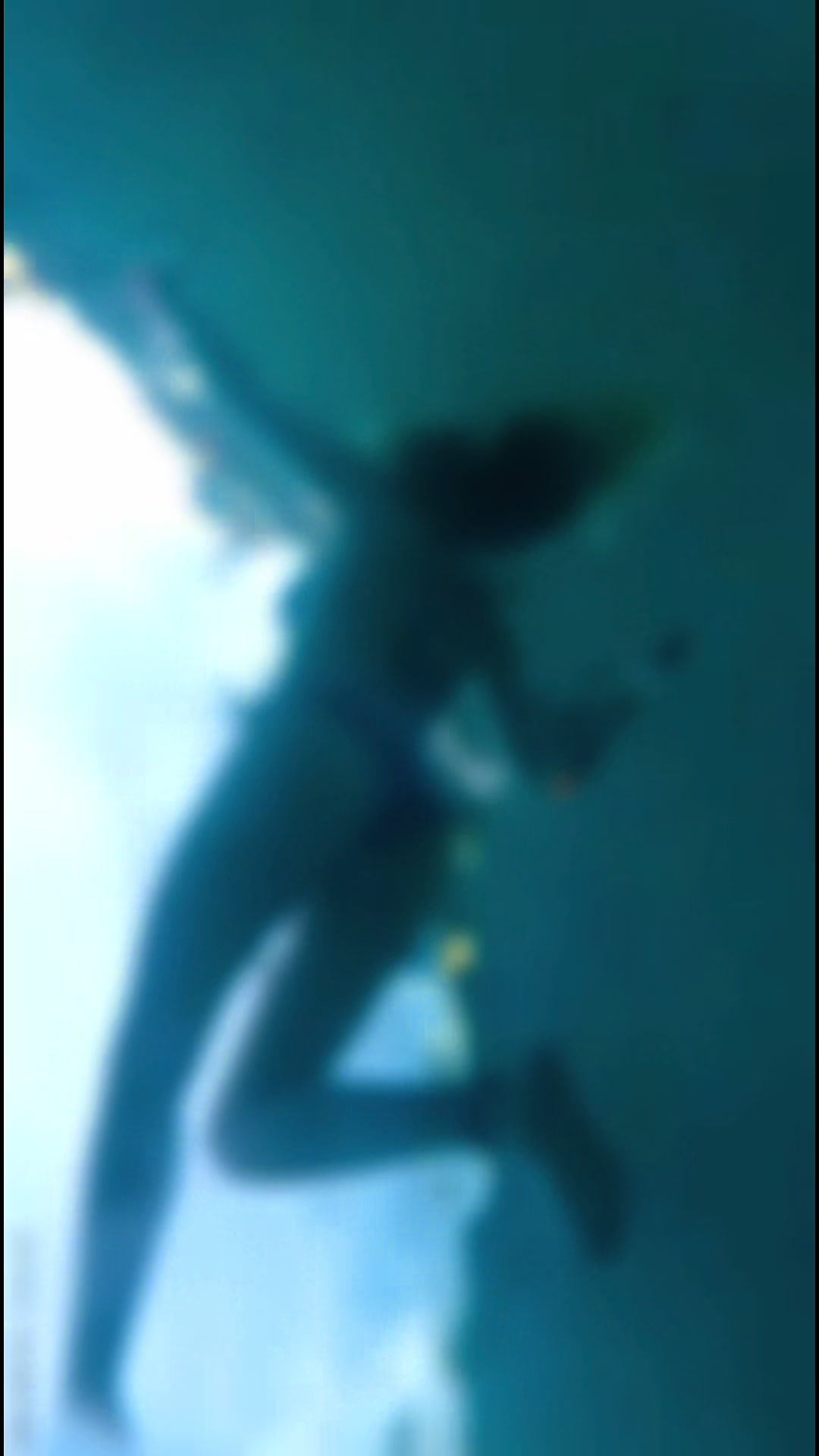 @Elfina