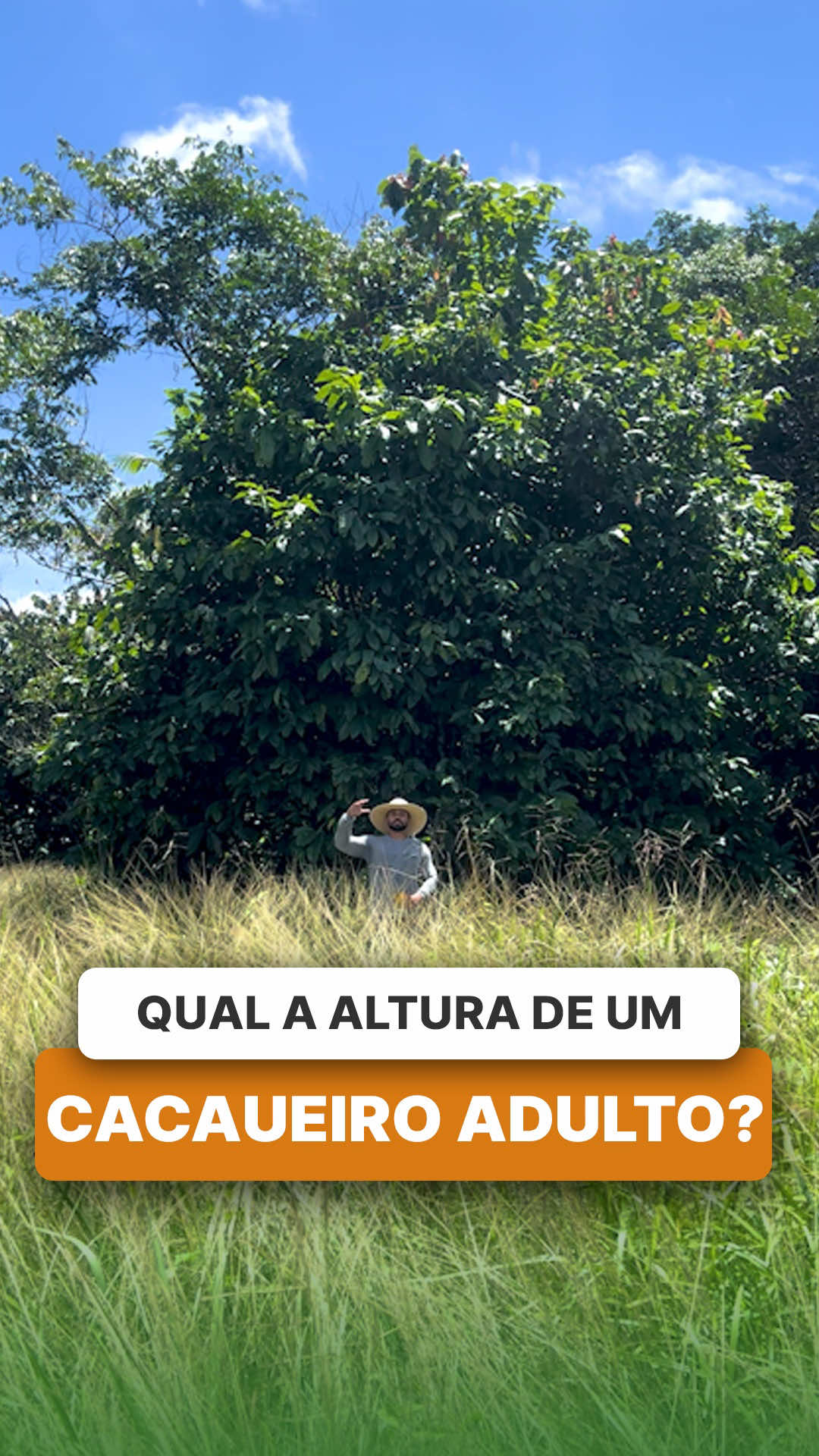@ViveiroProMudas