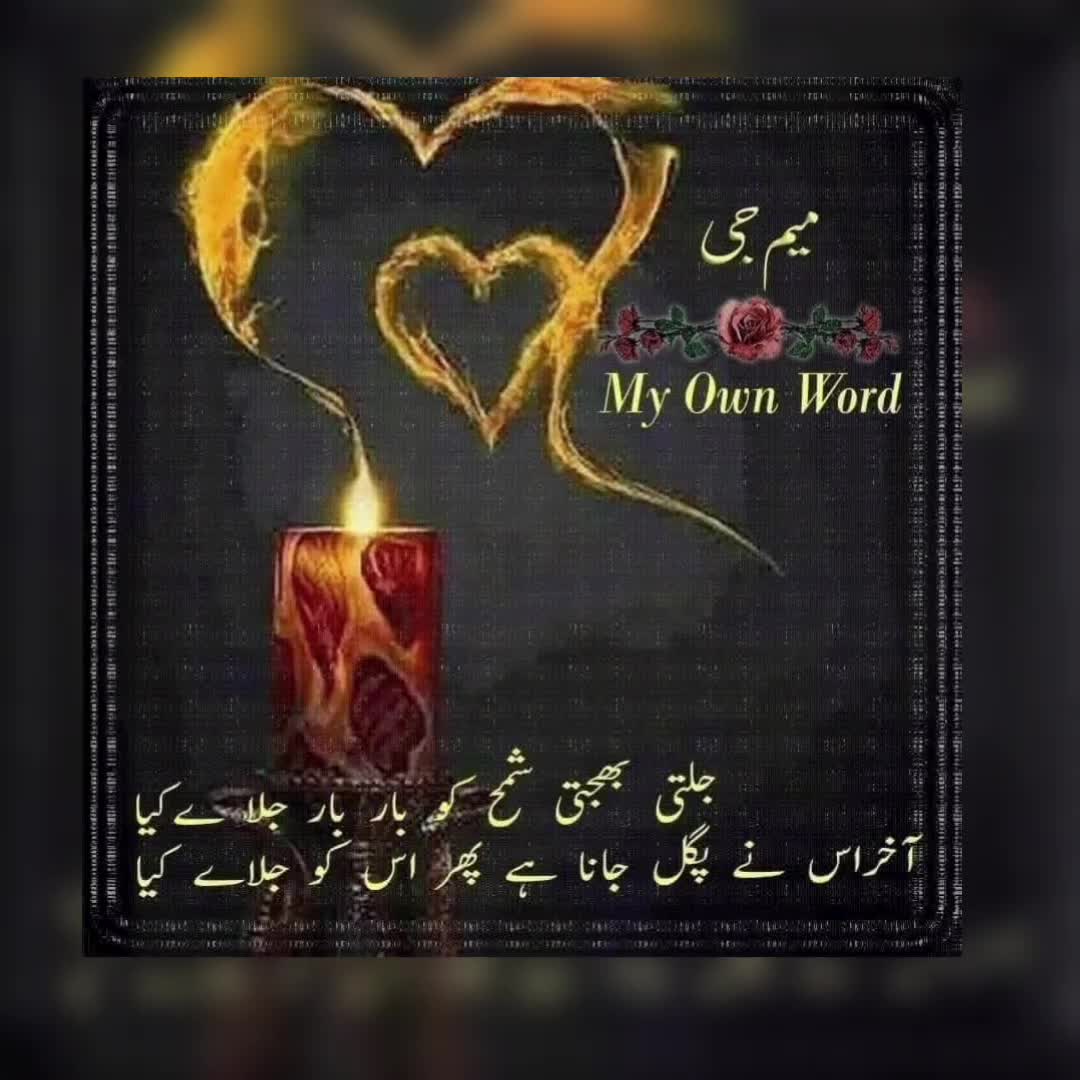 @🌹MeEm jEe SHeIkH میم جی 🌹Uk