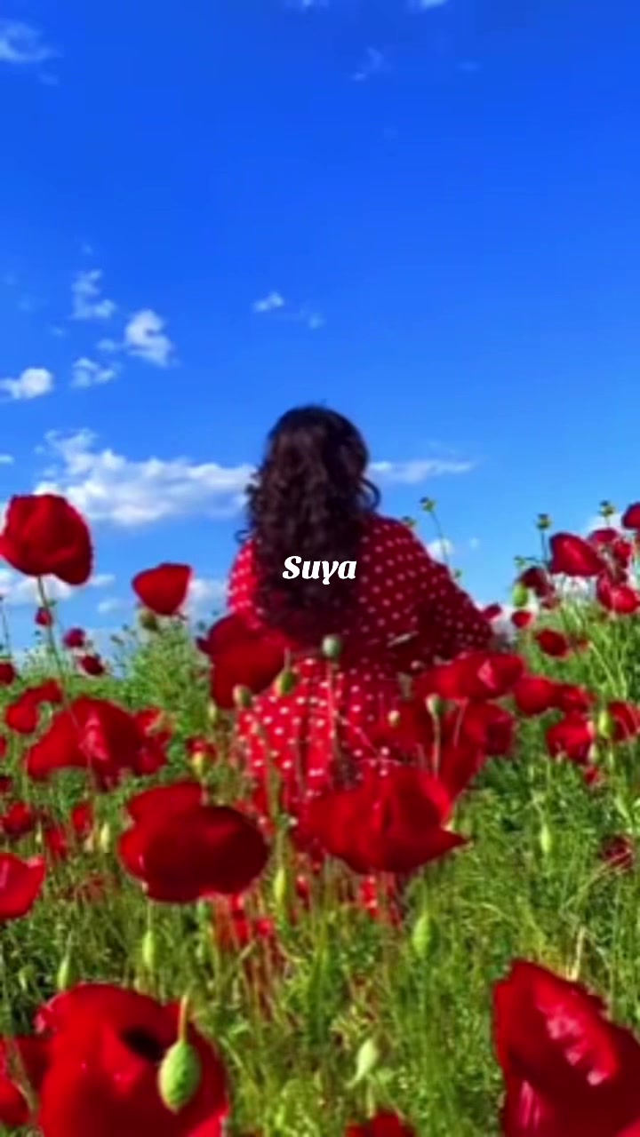 @(SUYA)__🐅🦅🐅🇱🇰🇫🇷❤️