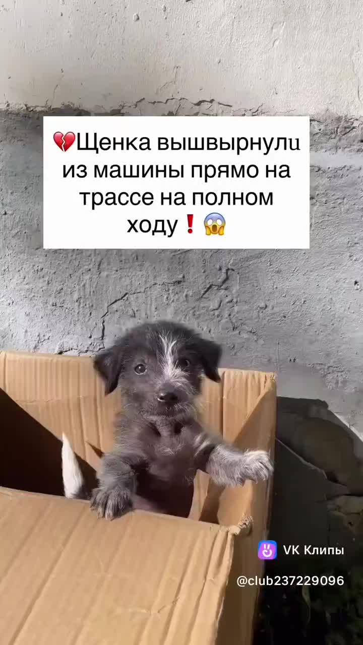 @Laimdota Spakovska