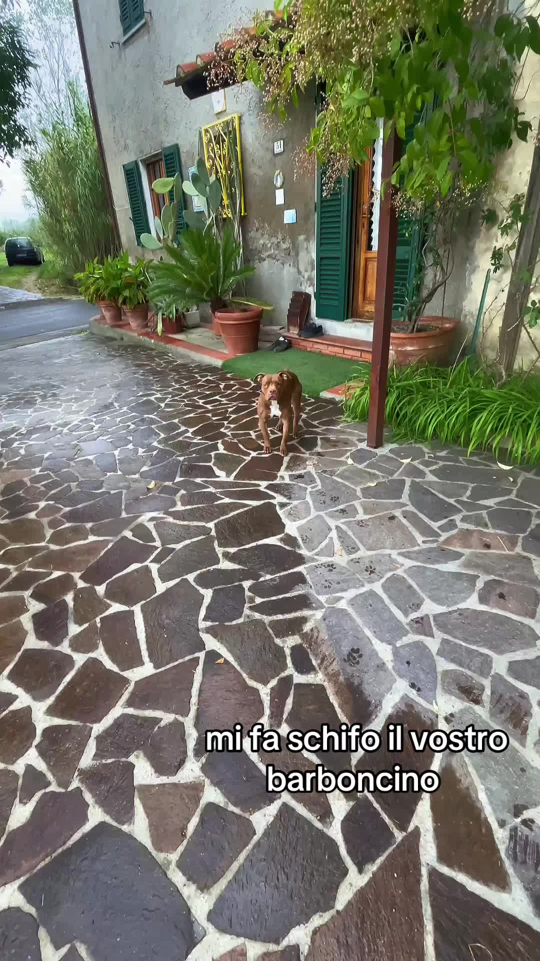 @Ghighi