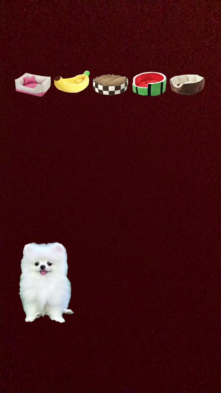 @ilovetigers4990263817