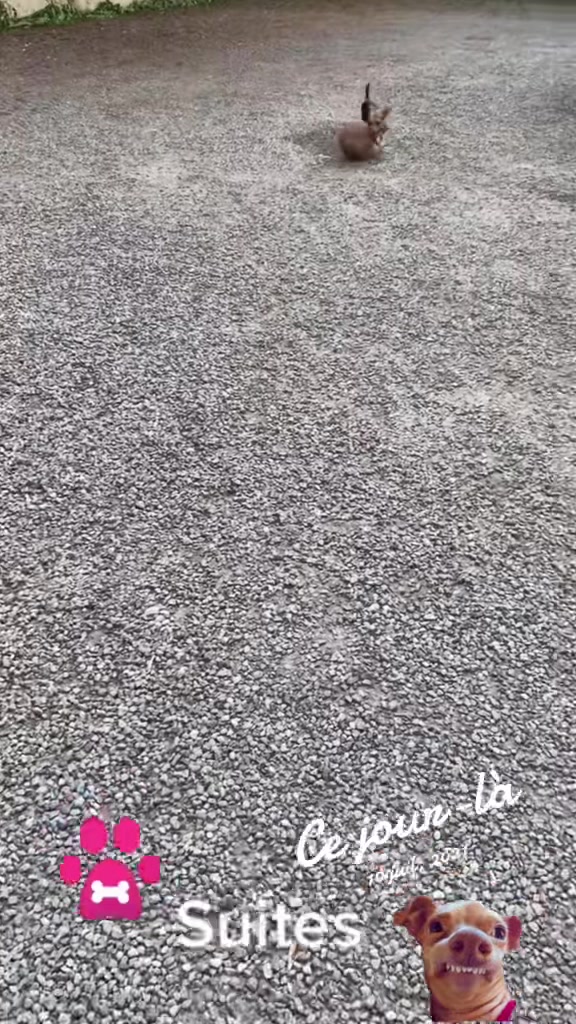 @phil1965belgique