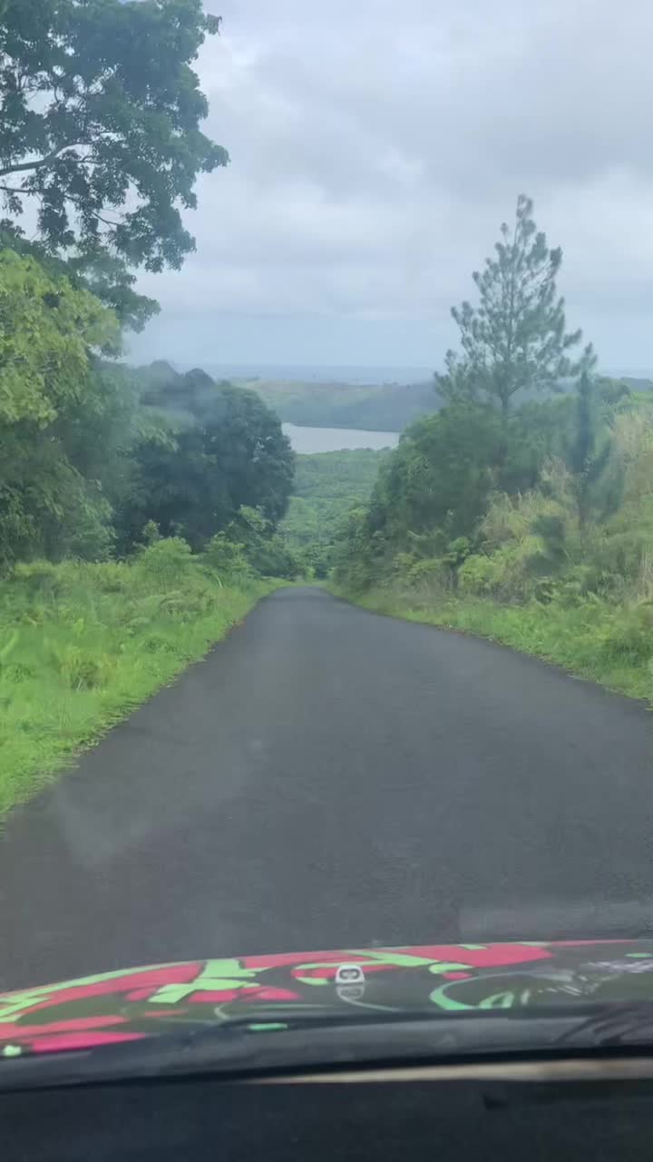 @Ob.tamanii
