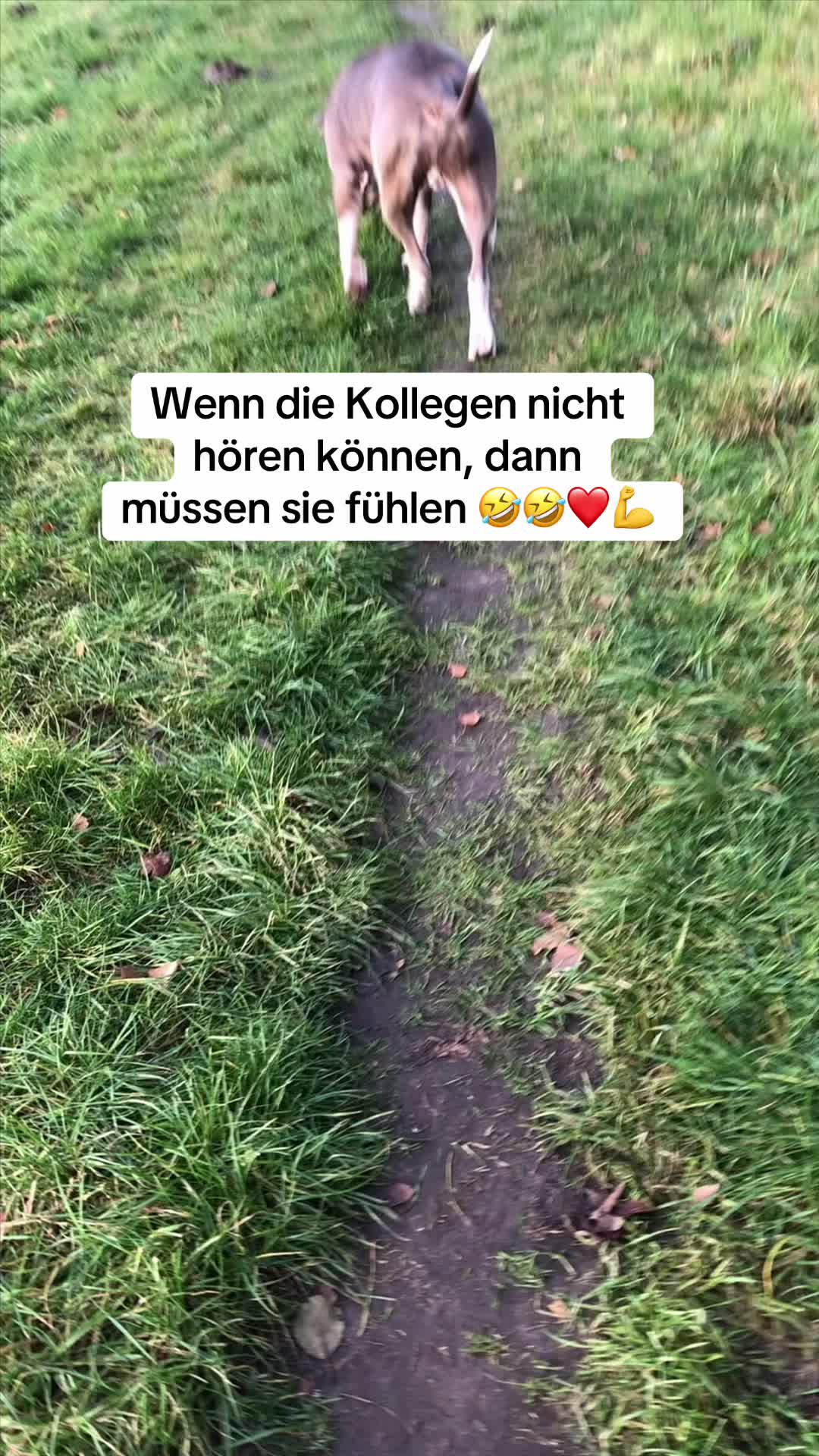 @XXLBALU