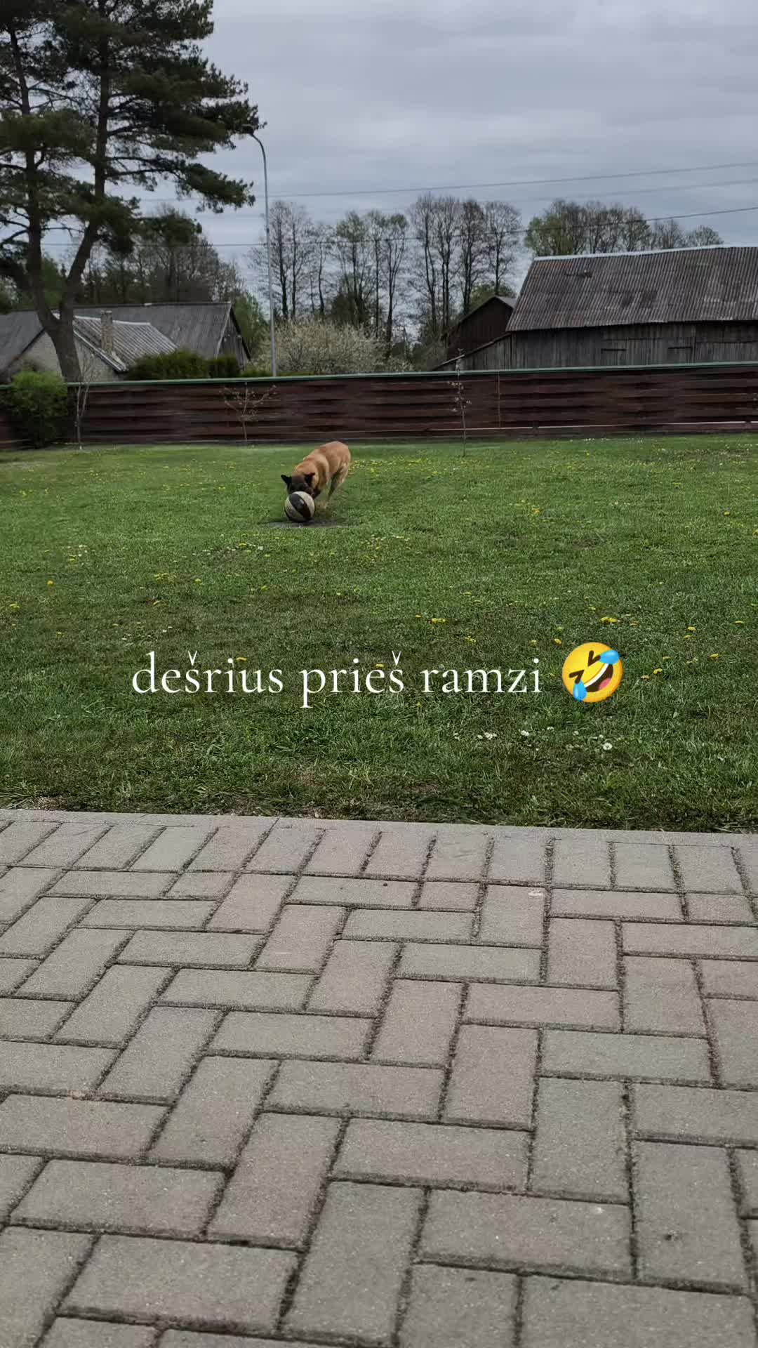 @🐰🐰Zuikyyyys🐰🐰