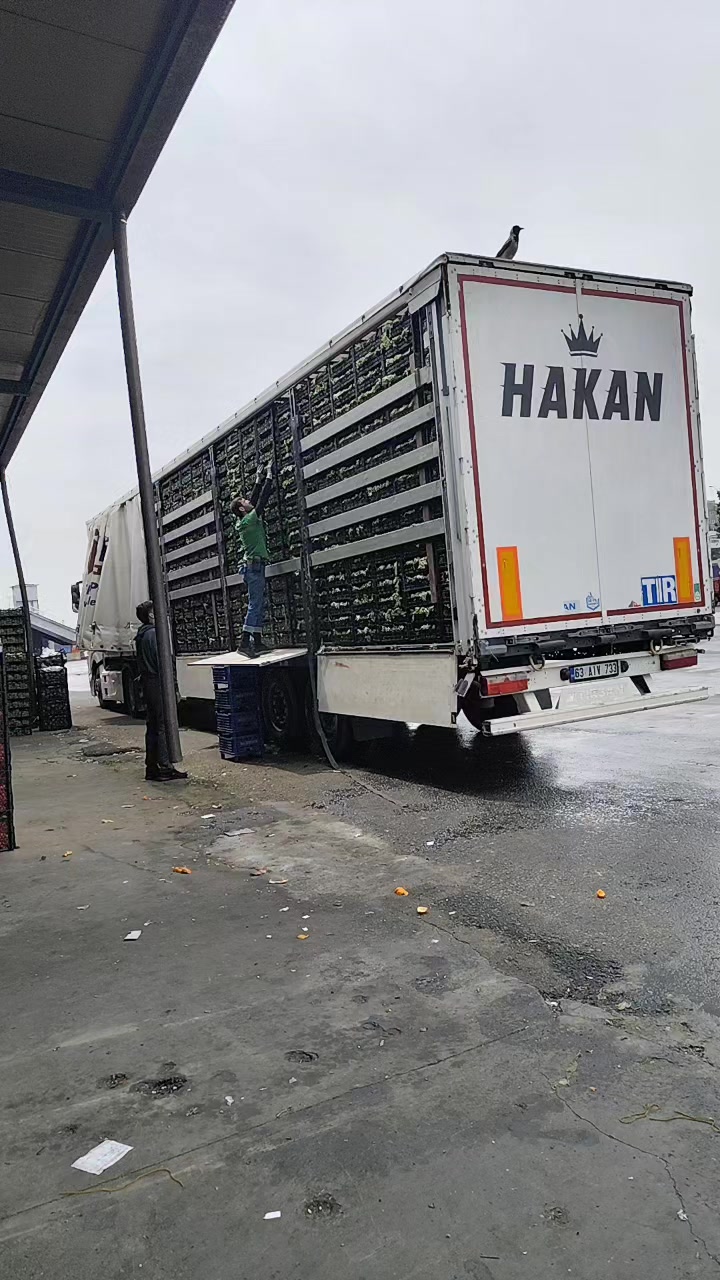 @Hakan Hoลgören