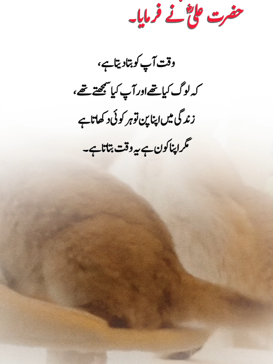 @Khan🍀Writes