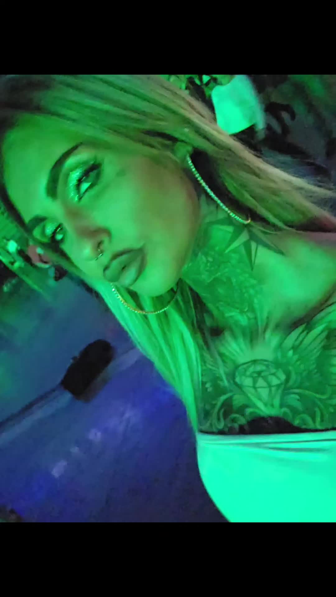 @VixenInk