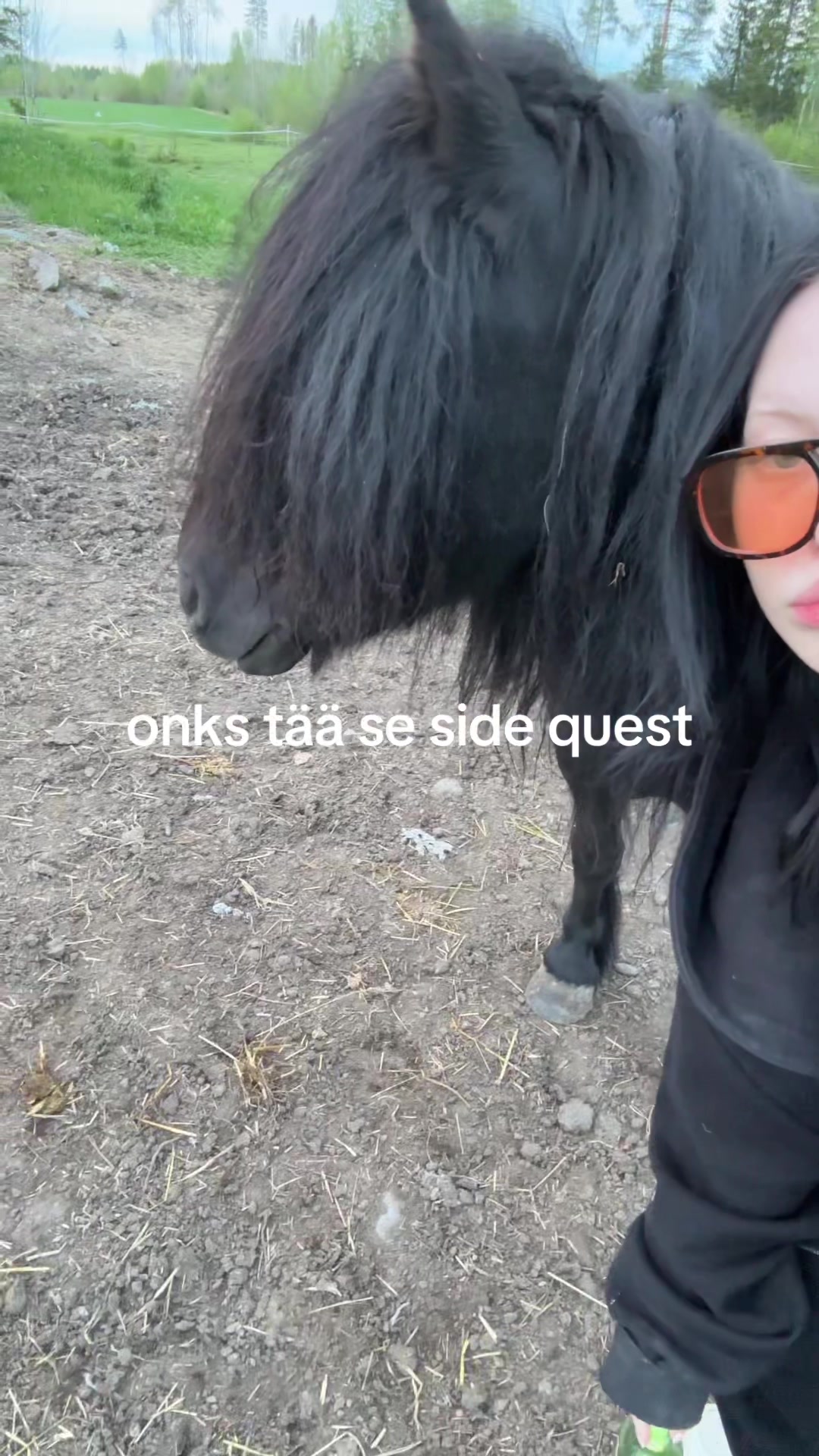 @pihlakisuu