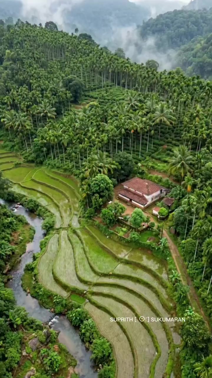 @●ಮಲ್ನಾಡ್ ಹುಡ್ಗ●