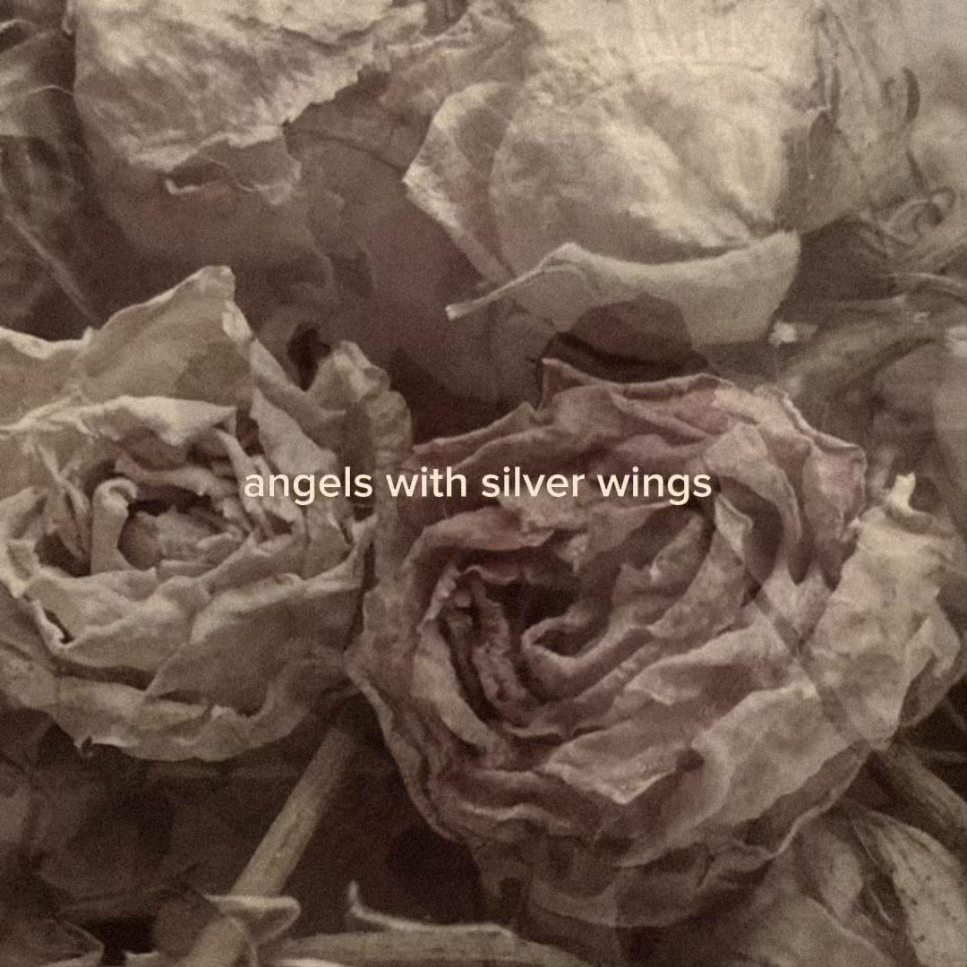 @_stripdepeche
