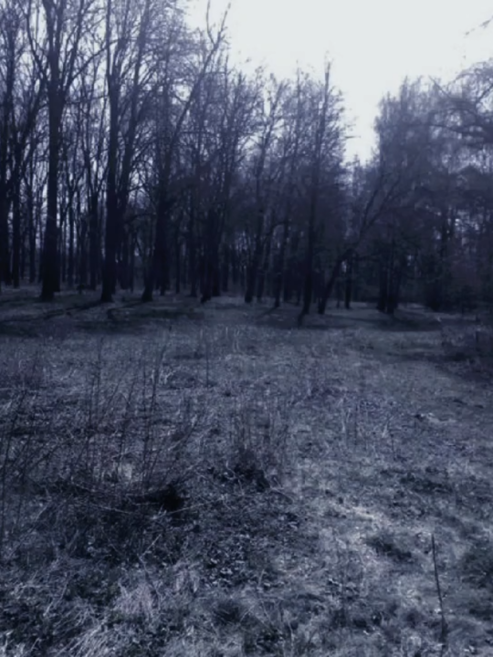 @yₒᵤᵣₛₑₗf