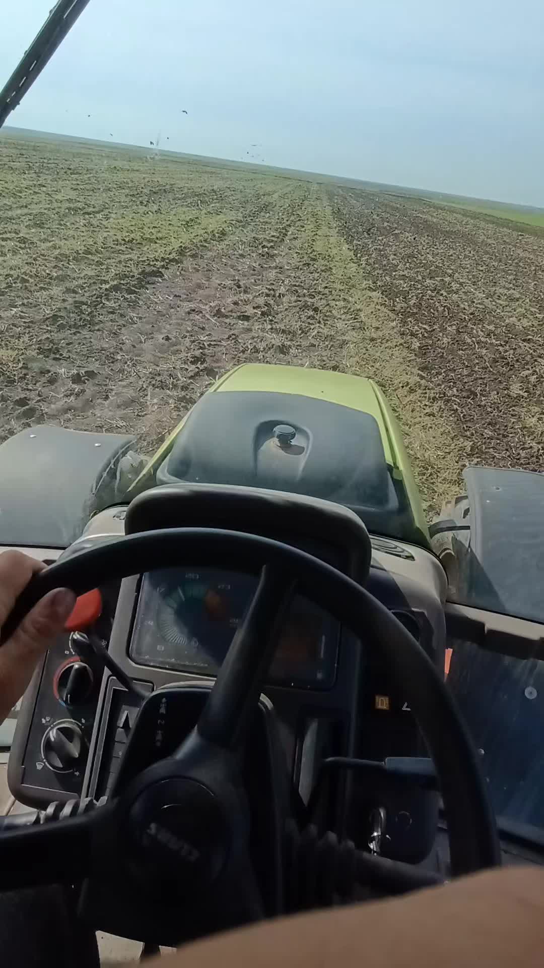 @ionuț ciurlin