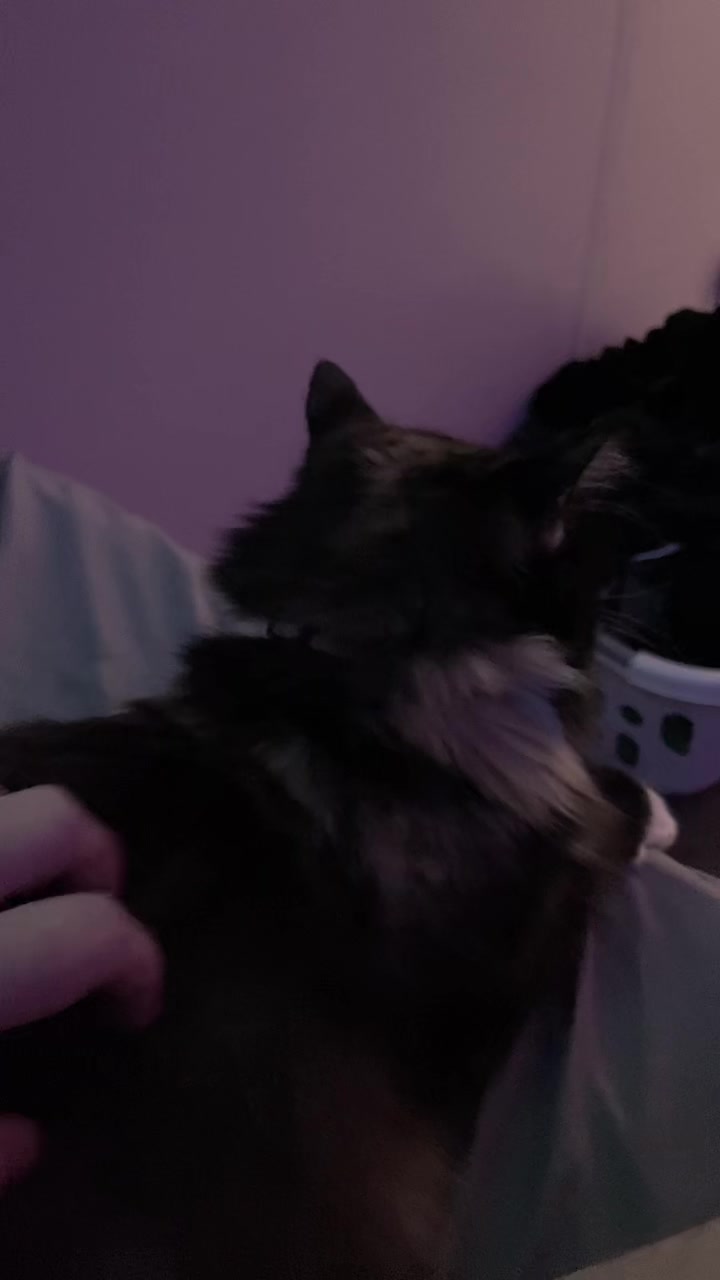 @₊ ⊹ 𝕎 𝕚 𝕟 𝕩 𝕩 <𝟑 ⊹ ࣪ ˖